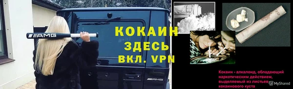 гидропоника Гусев