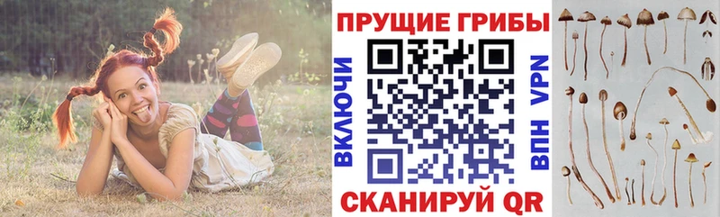 Псилоцибиновые грибы MAGIC MUSHROOMS  Дудинка 
